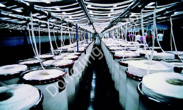 A brief introduction to spinning